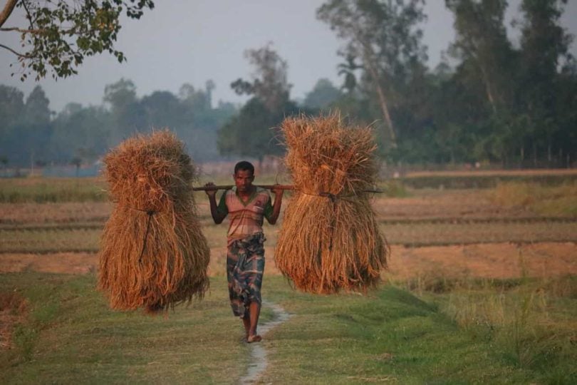 PEMERINTAH DAERAH DIMINTA PERCEPAT MODERNISASI ALAT TANI: PETANI MASIH MENGANDALKAN CARA TRADISIONAL